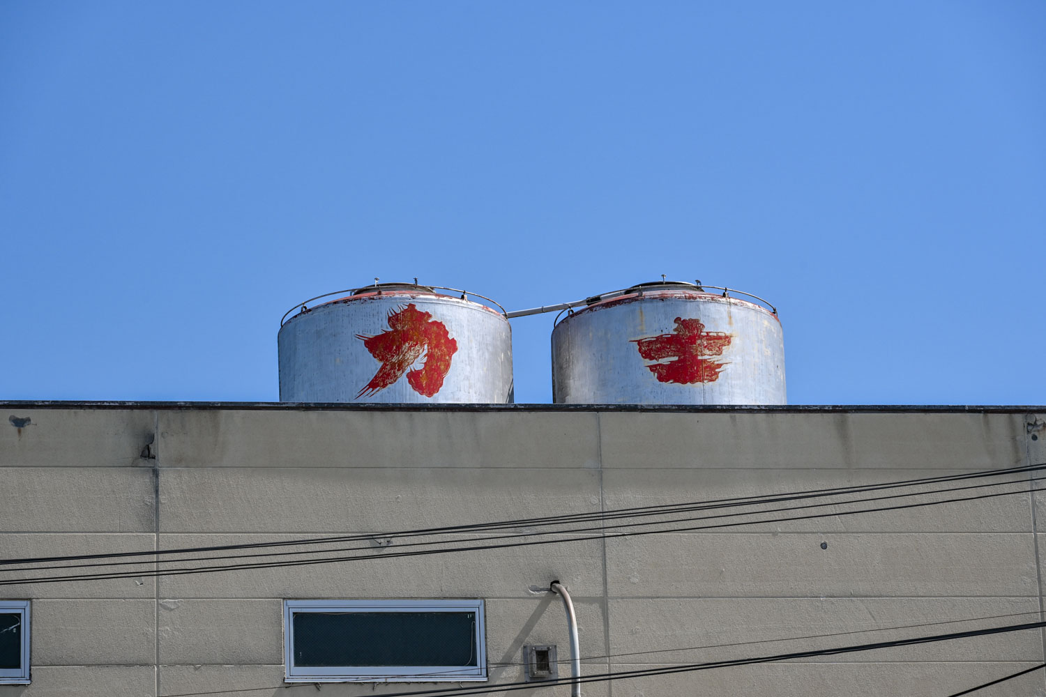 kawaguchi-onarimichi-mirin-process-16